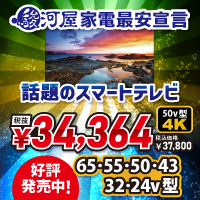 55v型・65v型が新登場スマートテレビ好評発売中